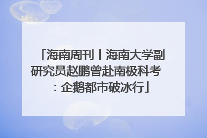 海南周刊丨海南大学副研究员赵鹏曾赴南极科考：企鹅都市破冰行