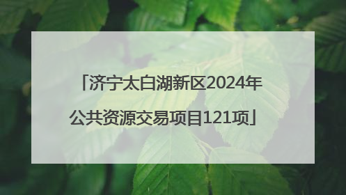 济宁太白湖新区2024年公共资源交易项目121项