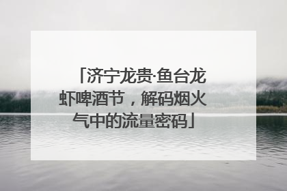 济宁龙贵·鱼台龙虾啤酒节，解码烟火气中的流量密码