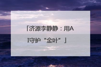 济源李静静：用AI守护“金叶”