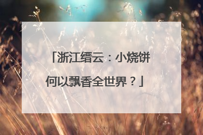 浙江缙云：小烧饼何以飘香全世界？
