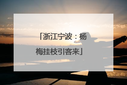 浙江宁波：杨梅挂枝引客来