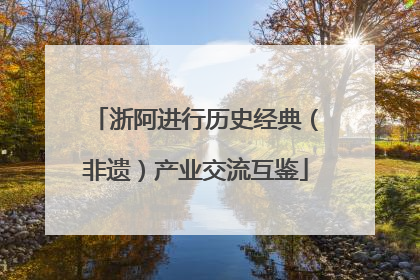 浙阿进行历史经典（非遗）产业交流互鉴