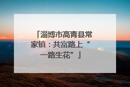 淄博市高青县常家镇：共富路上“一路生花”