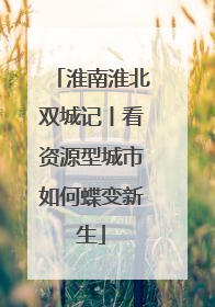 淮南淮北双城记丨看资源型城市如何蝶变新生