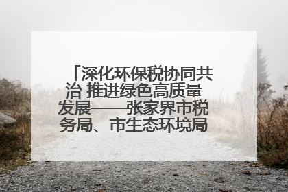 深化环保税协同共治 推进绿色高质量发展——张家界市税务局、市生态环境局签署合作备忘录