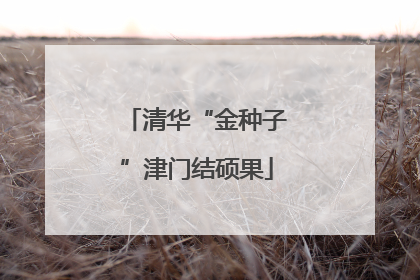 清华“金种子”津门结硕果
