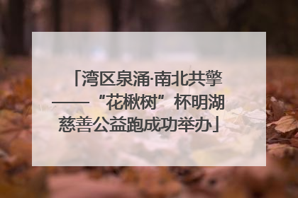 湾区泉涌·南北共擎——“花楸树”杯明湖慈善公益跑成功举办