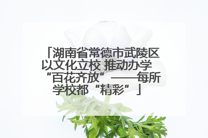 湖南省常德市武陵区以文化立校 推动办学“百花齐放”——每所学校都“精彩”