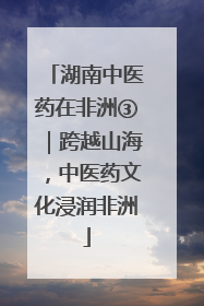 湖南中医药在非洲③｜跨越山海，中医药文化浸润非洲