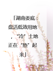 湖南娄底：盘活低效用地，“冷”土地正在“热”起来