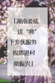 湖南娄底：送“典”下乡优服务 税惠进村助振兴