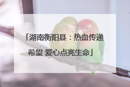 湖南衡阳县：热血传递希望 爱心点亮生命