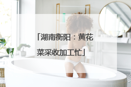 湖南衡阳：黄花菜采收加工忙