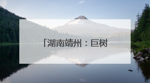 湖南靖州：巨树轰然倒塌前紧急管制成功避险