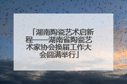 湖南陶瓷艺术启新程——湖南省陶瓷艺术家协会换届工作大会圆满举行