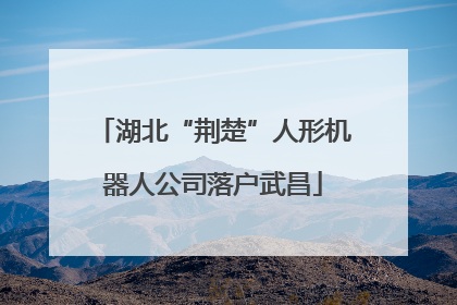 湖北“荆楚”人形机器人公司落户武昌