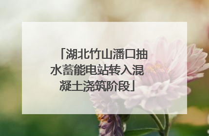 湖北竹山潘口抽水蓄能电站转入混凝土浇筑阶段