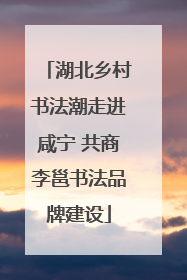 湖北乡村书法潮走进咸宁 共商李邕书法品牌建设