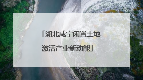 湖北咸宁闲置土地激活产业新动能