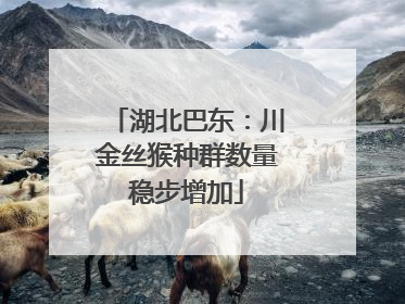 湖北巴东：川金丝猴种群数量稳步增加