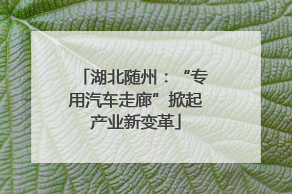 湖北随州：“专用汽车走廊”掀起产业新变革