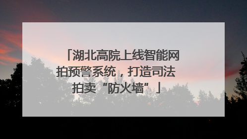 湖北高院上线智能网拍预警系统，打造司法拍卖“防火墙”