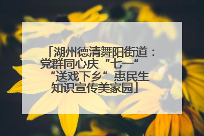 湖州德清舞阳街道：党群同心庆“七一” “送戏下乡”惠民生 知识宣传美家园