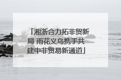 湘浙合力拓非贸新局 雨花义乌携手共建中非贸易新通道