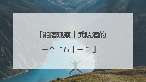 湘酒观察丨武陵酒的三个“五十三 ”