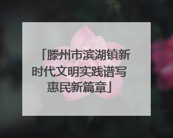 滕州市滨湖镇新时代文明实践谱写惠民新篇章