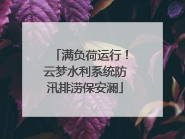 满负荷运行！云梦水利系统防汛排涝保安澜