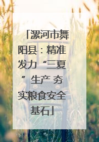 漯河市舞阳县：精准发力“三夏”生产 夯实粮食安全基石