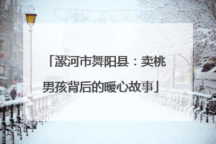 漯河市舞阳县：卖桃男孩背后的暖心故事