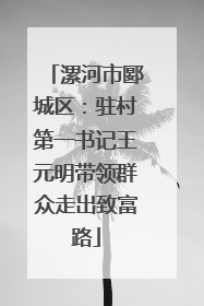 漯河市郾城区：驻村第一书记王元明带领群众走出致富路