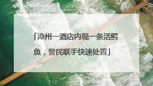漳州一酒店内现一条活鳄鱼，警民联手快速处置