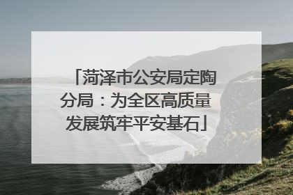 菏泽市公安局定陶分局：为全区高质量发展筑牢平安基石