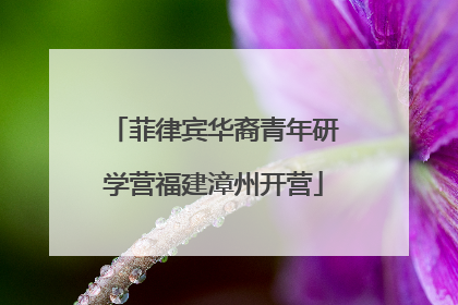 菲律宾华裔青年研学营福建漳州开营