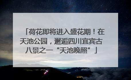 荷花即将进入盛花期！在天池公园，邂逅四川宜宾古八景之一“天池晚照”
