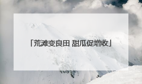 荒滩变良田 甜瓜促增收