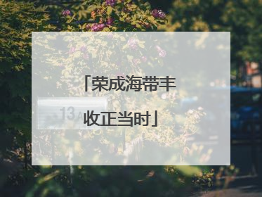 荣成海带丰收正当时