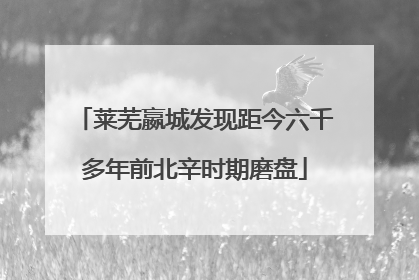 莱芜嬴城发现距今六千多年前北辛时期磨盘