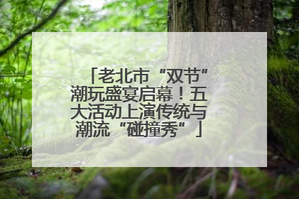 老北市“双节”潮玩盛宴启幕！五大活动上演传统与潮流“碰撞秀”