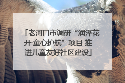 老河口市调研“润泽花开·童心护航”项目 推进儿童友好社区建设