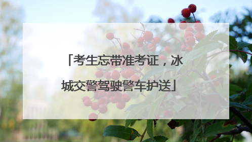 考生忘带准考证，冰城交警驾驶警车护送