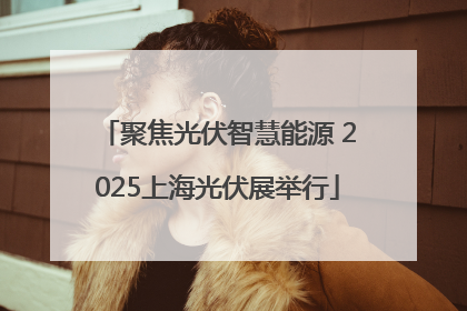 聚焦光伏智慧能源 2025上海光伏展举行