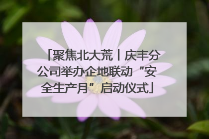 聚焦北大荒丨庆丰分公司举办企地联动“安全生产月”启动仪式