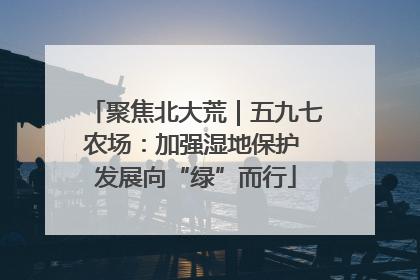 聚焦北大荒｜五九七农场：加强湿地保护 发展向“绿”而行