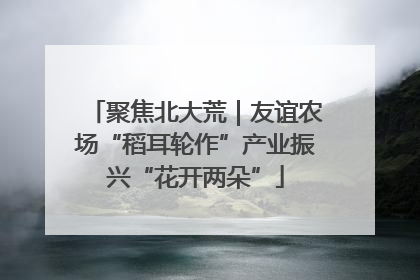 聚焦北大荒｜友谊农场“稻耳轮作”产业振兴“花开两朵”
