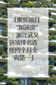聚焦项目“加速度”：浙江武义这项排名连续四个月全省第一